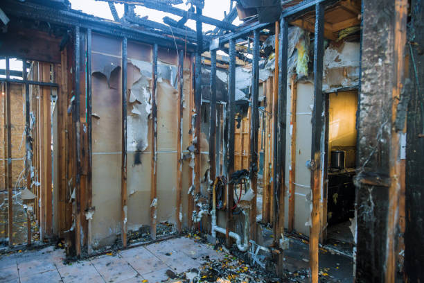 Professional Fire Damage Removal technician working in Walkersville, MD